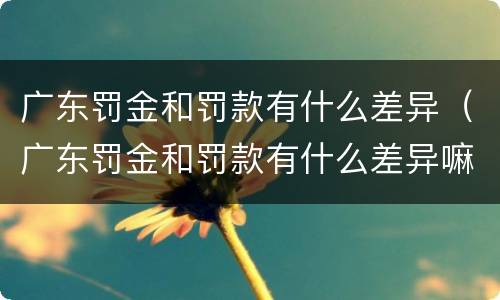 广东罚金和罚款有什么差异（广东罚金和罚款有什么差异嘛）