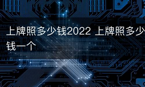 上牌照多少钱2022 上牌照多少钱一个