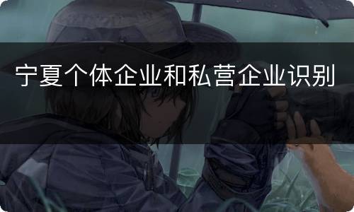 宁夏个体企业和私营企业识别