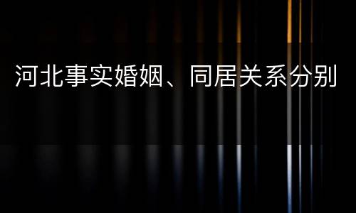 河北事实婚姻、同居关系分别