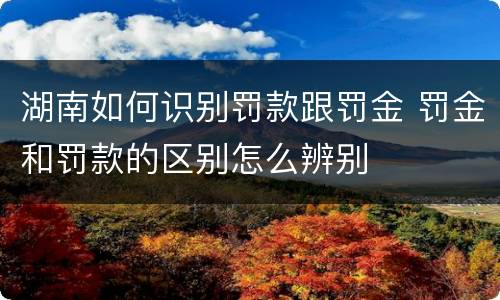 湖南如何识别罚款跟罚金 罚金和罚款的区别怎么辨别