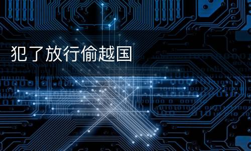 犯了放行偷越国