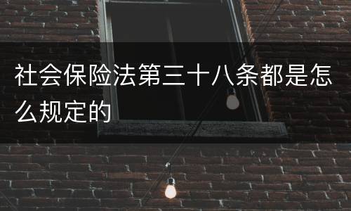 社会保险法第三十八条都是怎么规定的