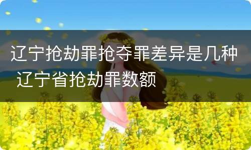 辽宁抢劫罪抢夺罪差异是几种 辽宁省抢劫罪数额