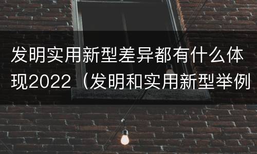 发明实用新型差异都有什么体现2022（发明和实用新型举例）