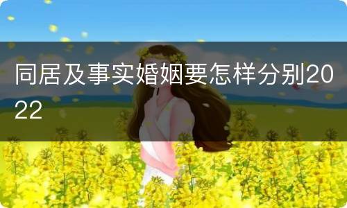 同居及事实婚姻要怎样分别2022