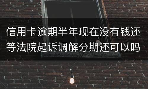 信用卡逾期半年现在没有钱还等法院起诉调解分期还可以吗