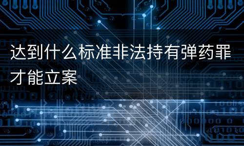 达到什么标准非法持有弹药罪才能立案