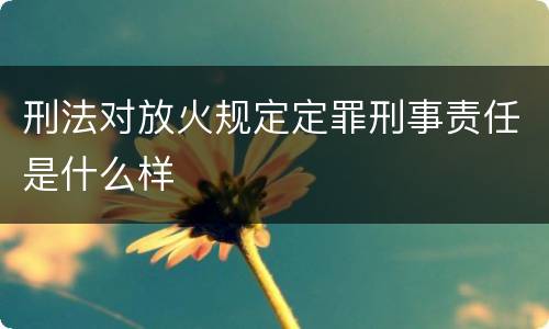 刑法对放火规定定罪刑事责任是什么样