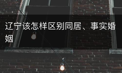 辽宁该怎样区别同居、事实婚姻