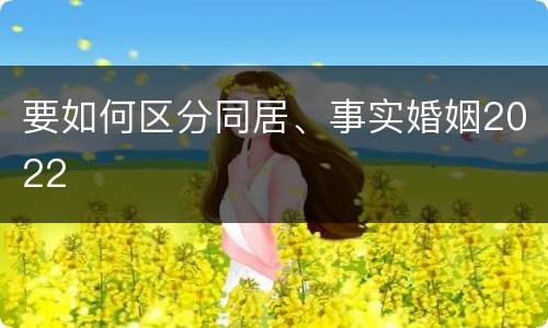 要如何区分同居、事实婚姻2022