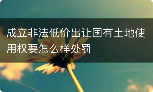 成立非法低价出让国有土地使用权要怎么样处罚