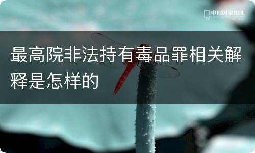 最高院非法持有毒品罪相关解释是怎样的