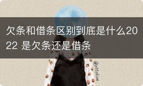欠条和借条区别到底是什么2022 是欠条还是借条