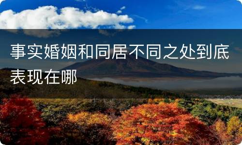 事实婚姻和同居不同之处到底表现在哪
