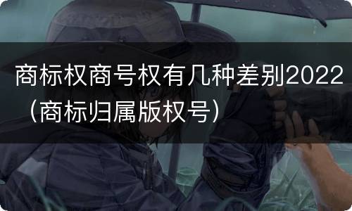 商标权商号权有几种差别2022（商标归属版权号）