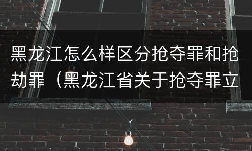 黑龙江怎么样区分抢夺罪和抢劫罪（黑龙江省关于抢夺罪立案标准）