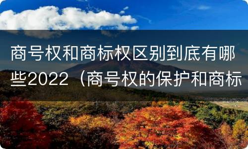 商号权和商标权区别到底有哪些2022（商号权的保护和商标权的保护一样是全国性范围的）