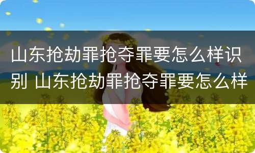 山东抢劫罪抢夺罪要怎么样识别 山东抢劫罪抢夺罪要怎么样识别呢