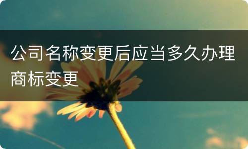 公司名称变更后应当多久办理商标变更