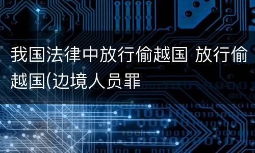 我国法律中放行偷越国 放行偷越国(边境人员罪
