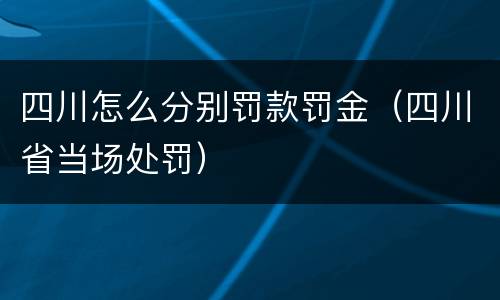 四川怎么分别罚款罚金（四川省当场处罚）