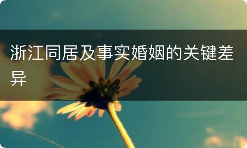 浙江同居及事实婚姻的关键差异