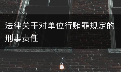 法律关于对单位行贿罪规定的刑事责任