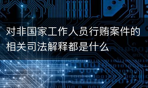 对非国家工作人员行贿案件的相关司法解释都是什么