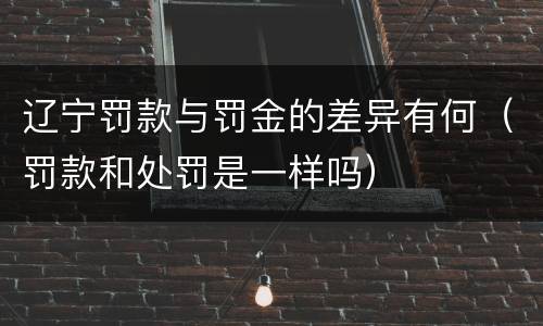 辽宁罚款与罚金的差异有何（罚款和处罚是一样吗）