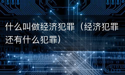 什么叫做经济犯罪（经济犯罪还有什么犯罪）
