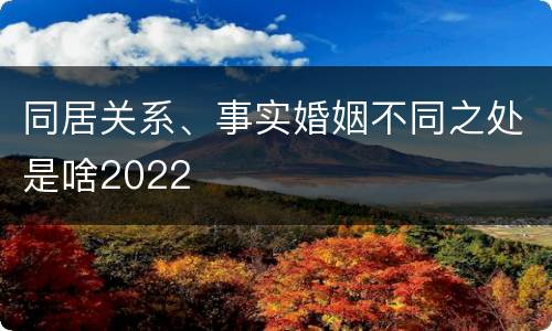 同居关系、事实婚姻不同之处是啥2022