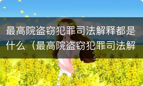 最高院盗窃犯罪司法解释都是什么（最高院盗窃犯罪司法解释都是什么案件）