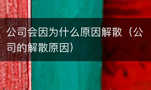 公司会因为什么原因解散（公司的解散原因）