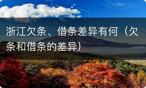 浙江欠条、借条差异有何（欠条和借条的差异）
