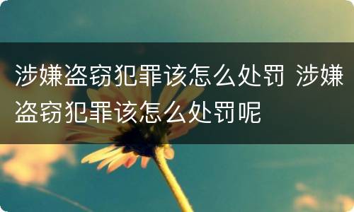 涉嫌盗窃犯罪该怎么处罚 涉嫌盗窃犯罪该怎么处罚呢