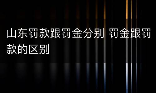 山东罚款跟罚金分别 罚金跟罚款的区别