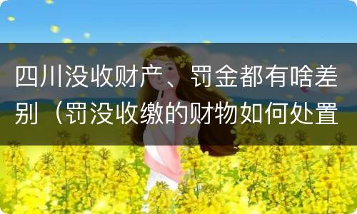四川没收财产、罚金都有啥差别（罚没收缴的财物如何处置）