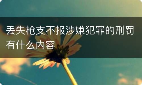 丢失枪支不报涉嫌犯罪的刑罚有什么内容