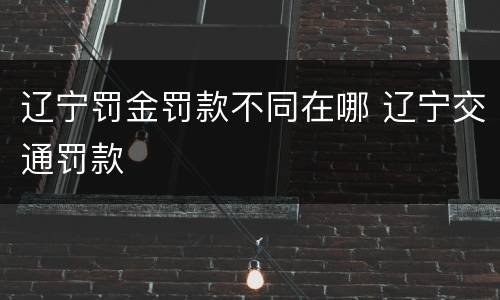 辽宁罚金罚款不同在哪 辽宁交通罚款