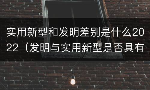 实用新型和发明差别是什么2022（发明与实用新型是否具有实用性）