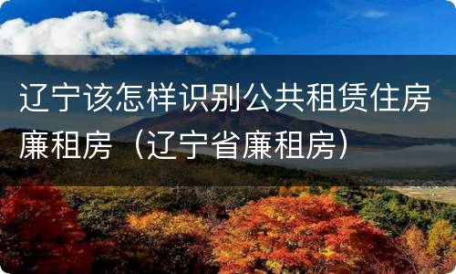 辽宁该怎样识别公共租赁住房廉租房（辽宁省廉租房）