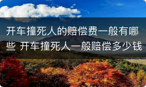 开车撞死人的赔偿费一般有哪些 开车撞死人一般赔偿多少钱