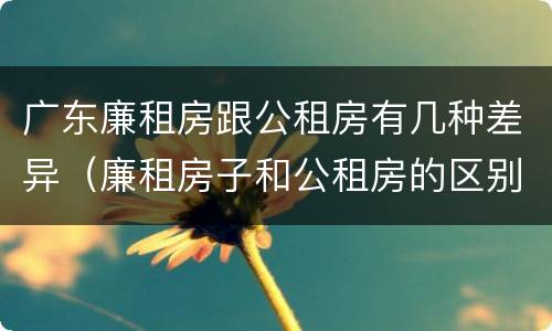 广东廉租房跟公租房有几种差异（廉租房子和公租房的区别）
