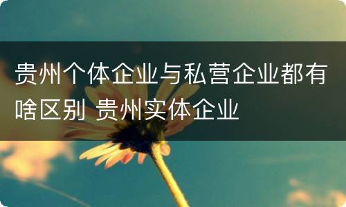 贵州个体企业与私营企业都有啥区别 贵州实体企业