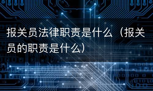 报关员法律职责是什么（报关员的职责是什么）