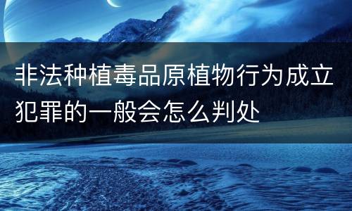 非法种植毒品原植物行为成立犯罪的一般会怎么判处