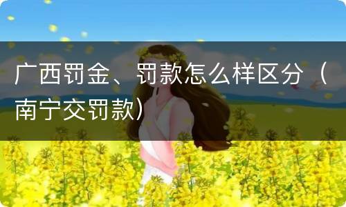 广西罚金、罚款怎么样区分（南宁交罚款）