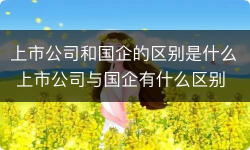 上市公司和国企的区别是什么 上市公司与国企有什么区别