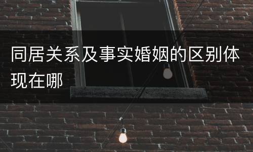 同居关系及事实婚姻的区别体现在哪